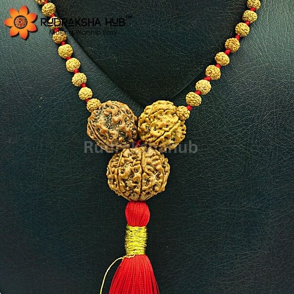 Rudraksha for Property Issues