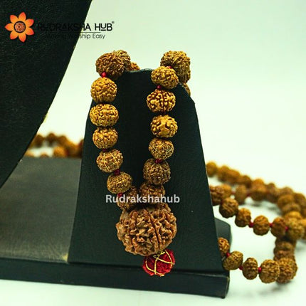 7 Mukhi Rudraksha Guru Mala