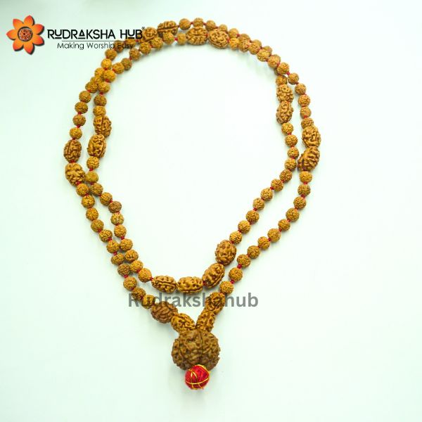 Rudraksha For Financial Stress