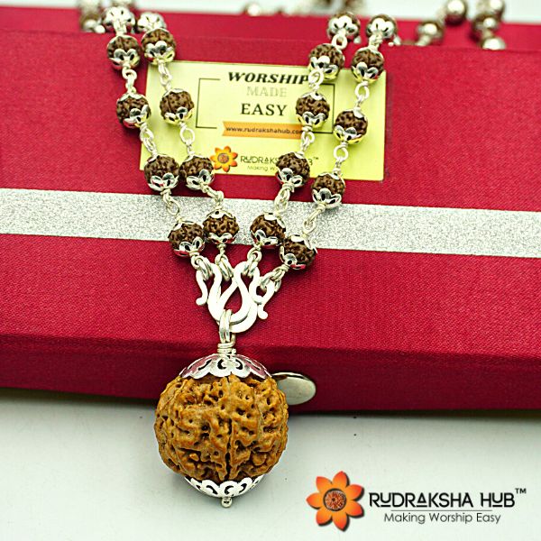 6 Mukhi Rudraksha in Pure Silver Mala 108 Beads