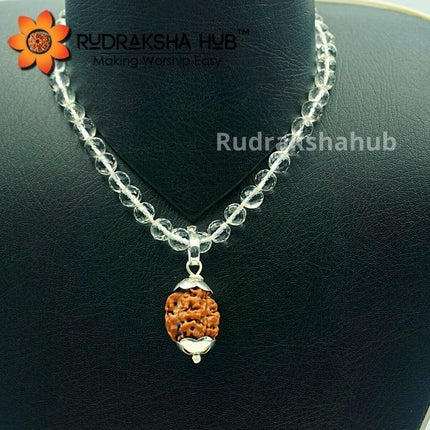 Rudraksha for Mental Health and Peace