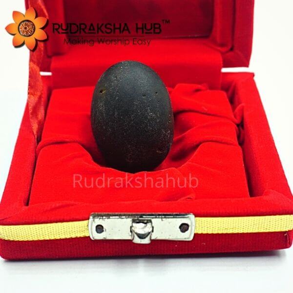 Divya Gopal Shaligram