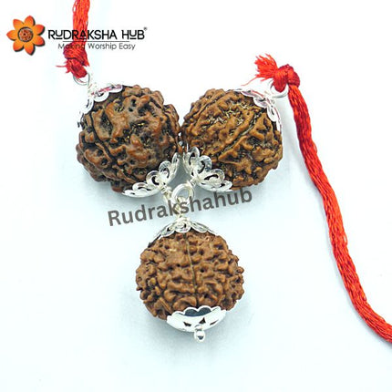 भय के लिए रुद्राक्ष