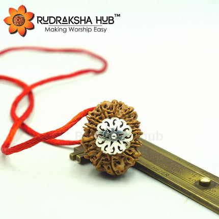 13 Mukhi Nepali Rudraksha Pendant