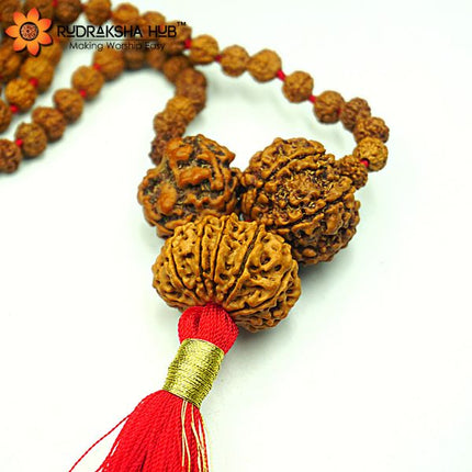 Rudraksha For Enemy Protection