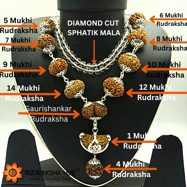 Rudraksha For Overall Happiness
