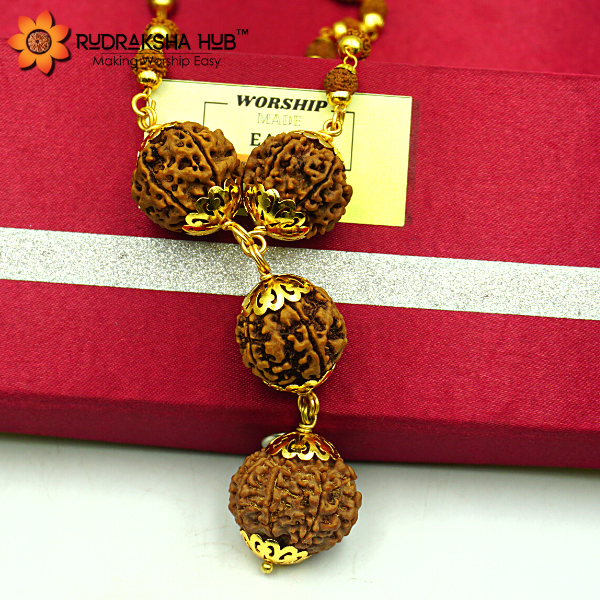 Rudraksha for Rahu and Health