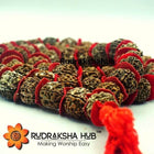 Jaagrit Rudraksha Kantha Mala Energised