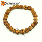 7 Mukhi Rudraksha Bracelet