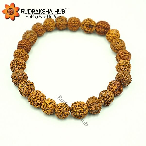 7 Mukhi Rudraksha Bracelet