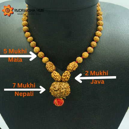 Rudraksha For Financial Stress