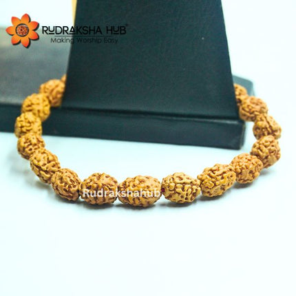 3 Mukhi Rudraksha Bracelet