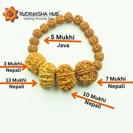 Rudraksha for Fertility Issues