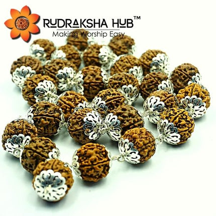 5 मुखी रुद्राक्ष कंथा माला (सिल्वर कैप्ड)