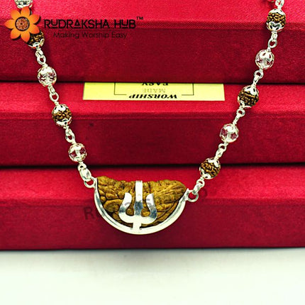 Rudraksha for Peace and Power