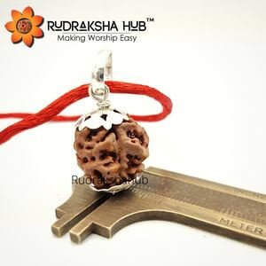2 Mukhi Rudraksha Silver Pendant (Nepali)