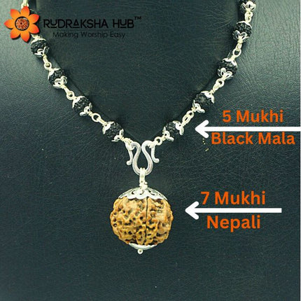 ऋण और वित्त के लिए रुद्राक्ष
