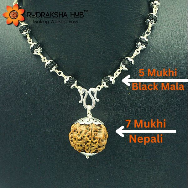Rudraksha for Loans and Finances