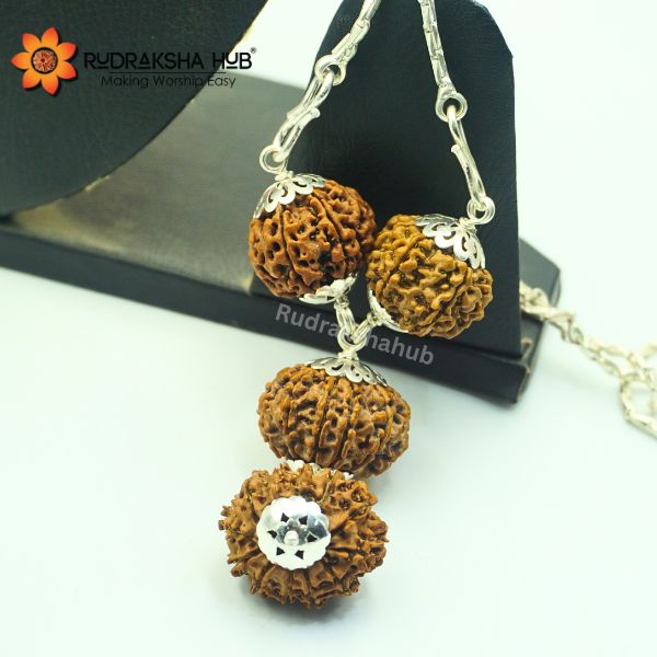 Rudraksha for Fame and Popularity