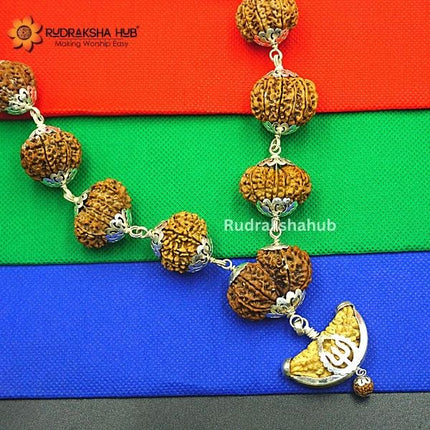 1-14 Mukhi Siddha Rudraksha Mala (Nepali)