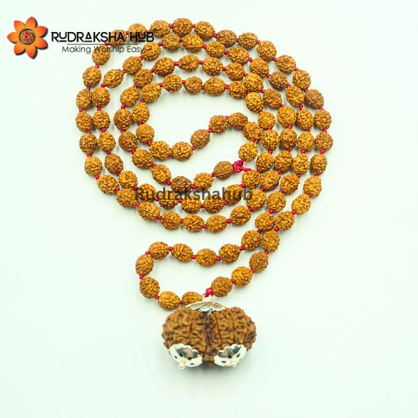 Rudraksha for Successful Relationships