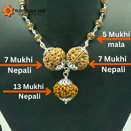Rudraksha for Materialistic Gains
