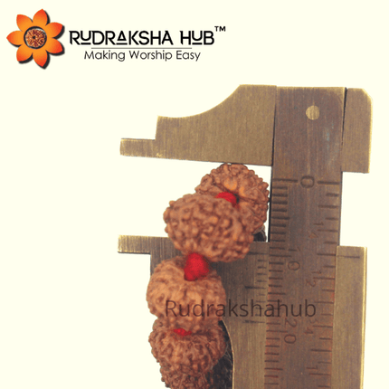 8 मुखी रुद्राक्ष माला