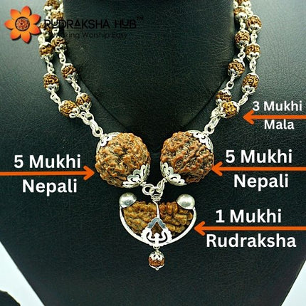 Rudraksha for General Health Benefits