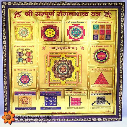 सम्पूर्ण रोगनाशक यंत्र
