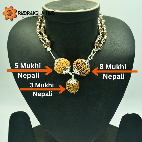 Rudraksha For Stock Market Traders