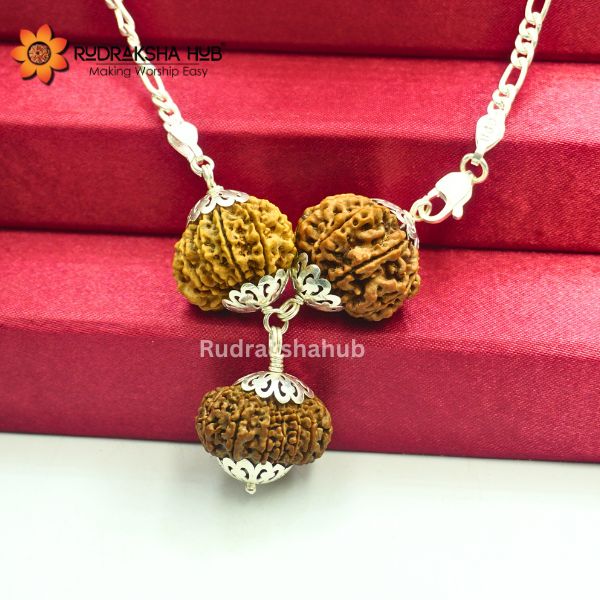 Rudraksha for Power and Protection