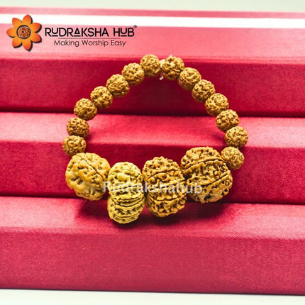 Rudraksha for Fertility Issues