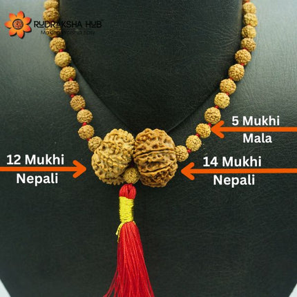 Rudraksha for Super Power