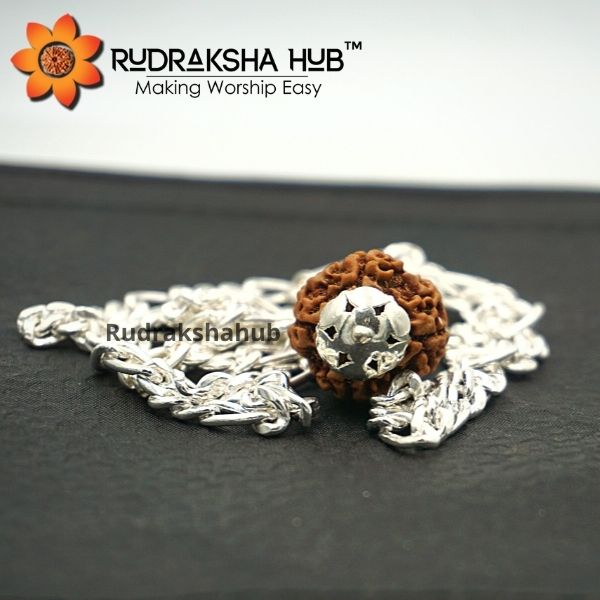 4 Mukhi Rudraksha Pendant in Pure Silver Chain