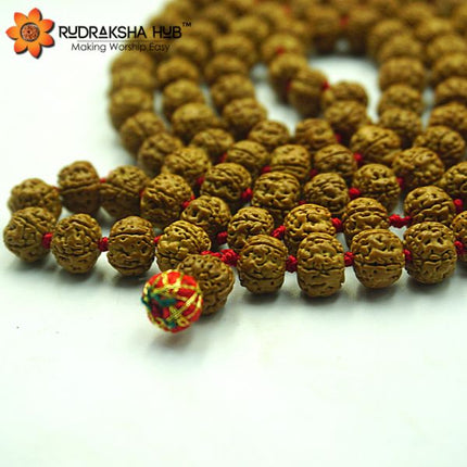 चिकना रुद्राक्ष माला
