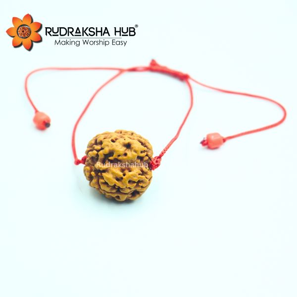 3 Mukhi Bracelet Nepali
