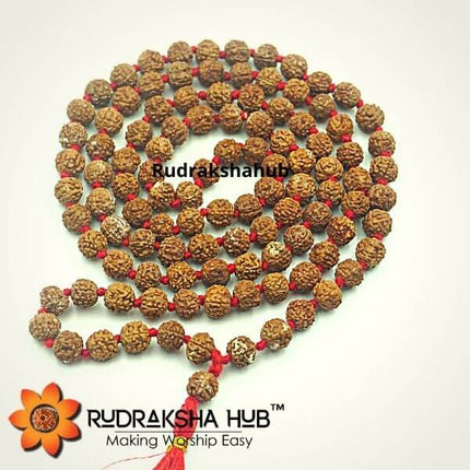 Jaagrit Rudraksha Mala Free Size Energised