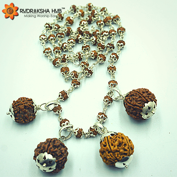 Rudraksha for Health, Growth and Prosperity