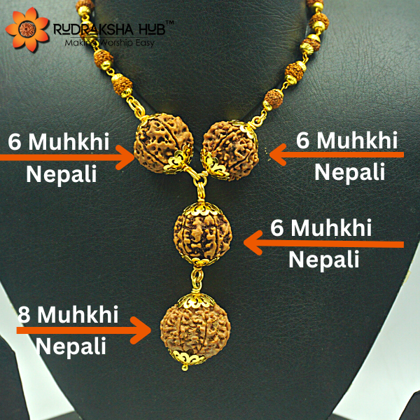 Rudraksha for Rahu and Health