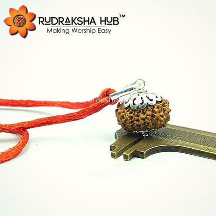 14 मुखी रुद्राक्ष शुद्ध चांदी पेंडेंट (इंडोनेशियाई)