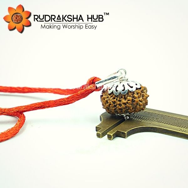 14 Mukhi Rudraksha Pure Silver Pendant (Indonesian)