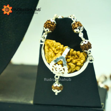 Rudraksha for Intelligence and Courage
