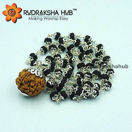Rudraksha for Meditation and Peace