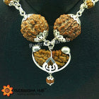 Rudraksha for General Health Benefits
