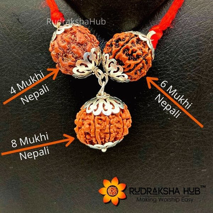 प्रशासकों के लिए रुद्राक्ष