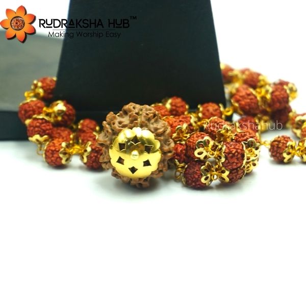 8 Mukhi Rudraksha for New Beginnings