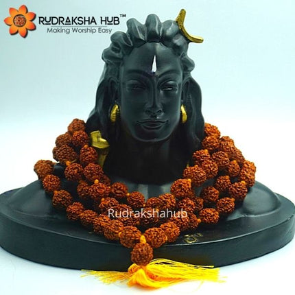 आदियोगी शिव प्रतिमा