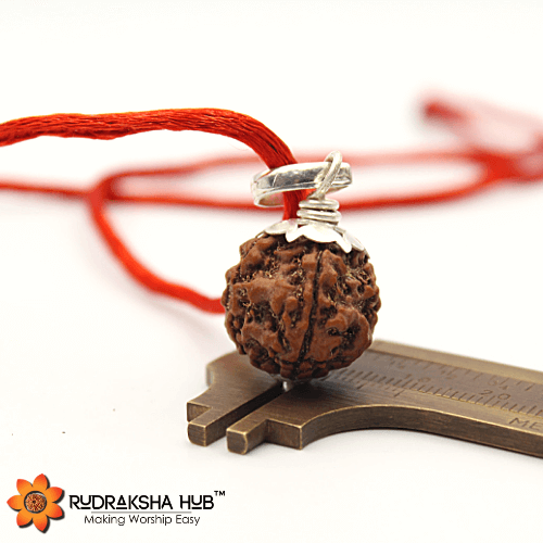 4 Mukhi Rudraksha Silver Pendant
