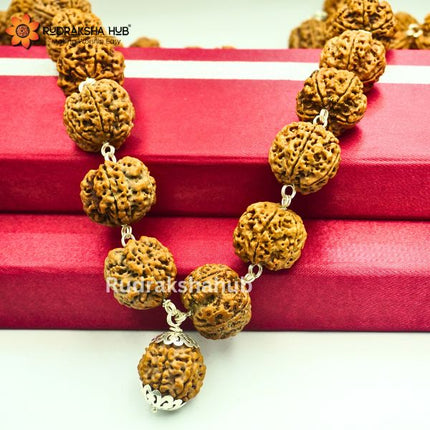 Super Collector Rudraksha Kantha Mala Pure Silver Wired