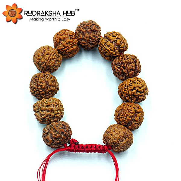 5 मुखी रुद्राक्ष कंगन (समायोज्य)